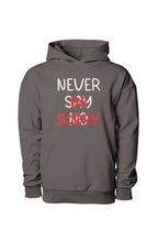 Load image into Gallery viewer, Never Be Sorry (Hoodie) Pigment Black